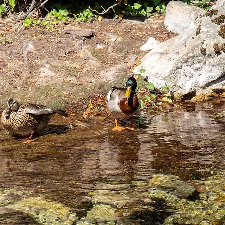 River House With Jacuzzi 4* Žrnovnica