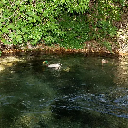River House With Jacuzzi 4* Žrnovnica